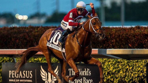 Legendary Horse Gun Runner’s Foal Makes $2.7 Million Splash Amid Sierra Leone’s Latest Victory